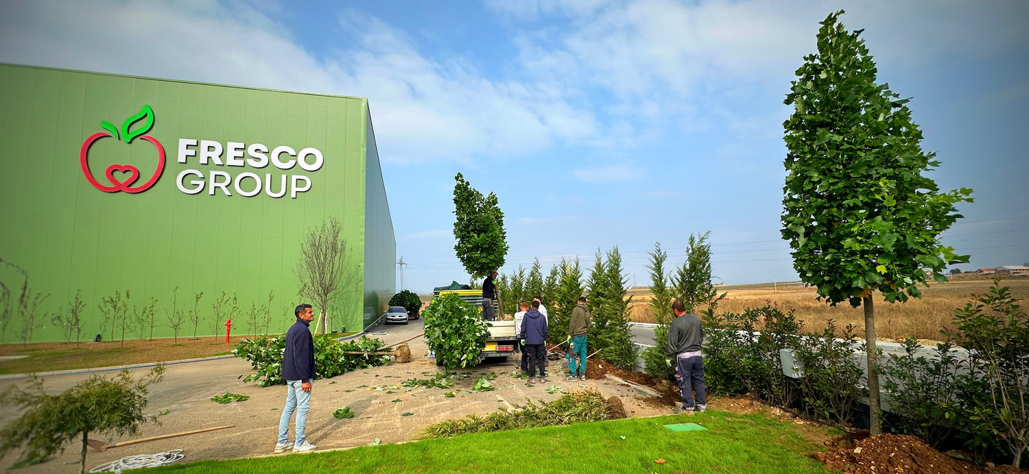 Fresco Group
liriodendron
tulipifera
druj dekorues
pisha
blina
bliri
bari
shtepia
oborri
kopshti
mbjellja